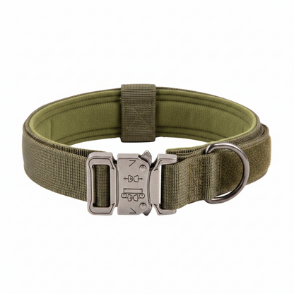 Adjustable Padded Tactical Dog Collar Set for Control