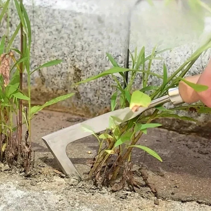Versatile Weeding Tool for Removing Weeds from Brick Joints