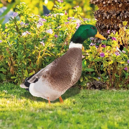 Realistic Duck Garden Statue for Outdoor Decor