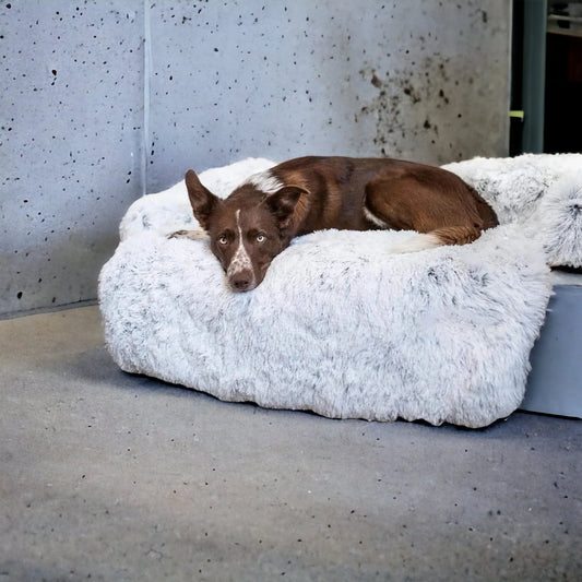 ComfortPaw Sofa Protector for Happy Pets