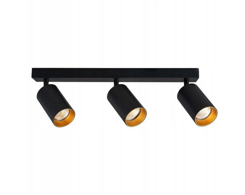Adjustable Black/Brass Skin Spot Light
