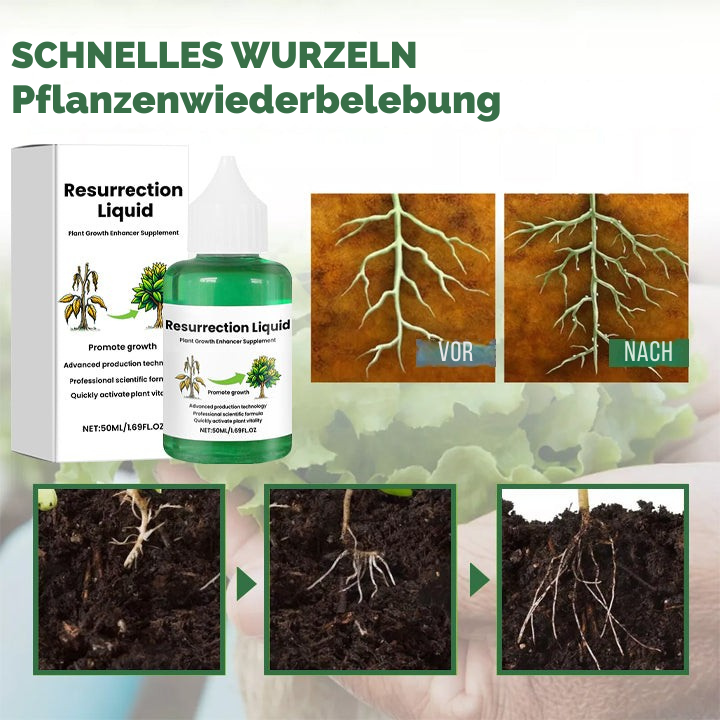 Nourishing Liquid Fertilizer for Indoor Plants in Convenient Dropper