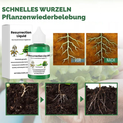 Nourishing Liquid Fertilizer for Indoor Plants in Convenient Dropper