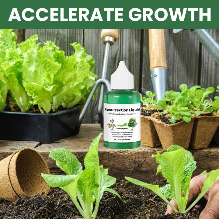 Nourishing Liquid Fertilizer for Indoor Plants in Convenient Dropper