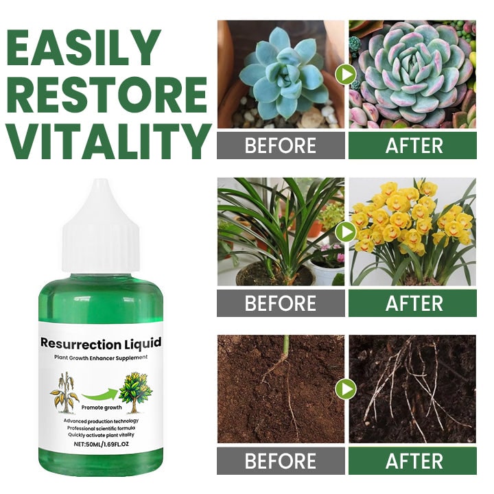 Nourishing Liquid Fertilizer for Indoor Plants in Convenient Dropper
