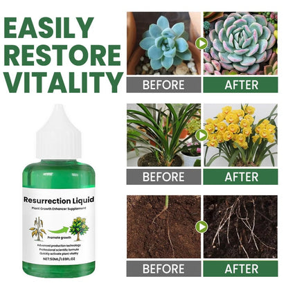 Nourishing Liquid Fertilizer for Indoor Plants in Convenient Dropper