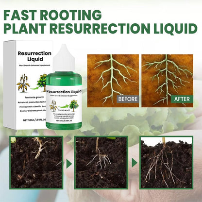 Nourishing Liquid Fertilizer for Indoor Plants in Convenient Dropper