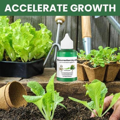 Nourishing Liquid Fertilizer for Indoor Plants in Convenient Dropper