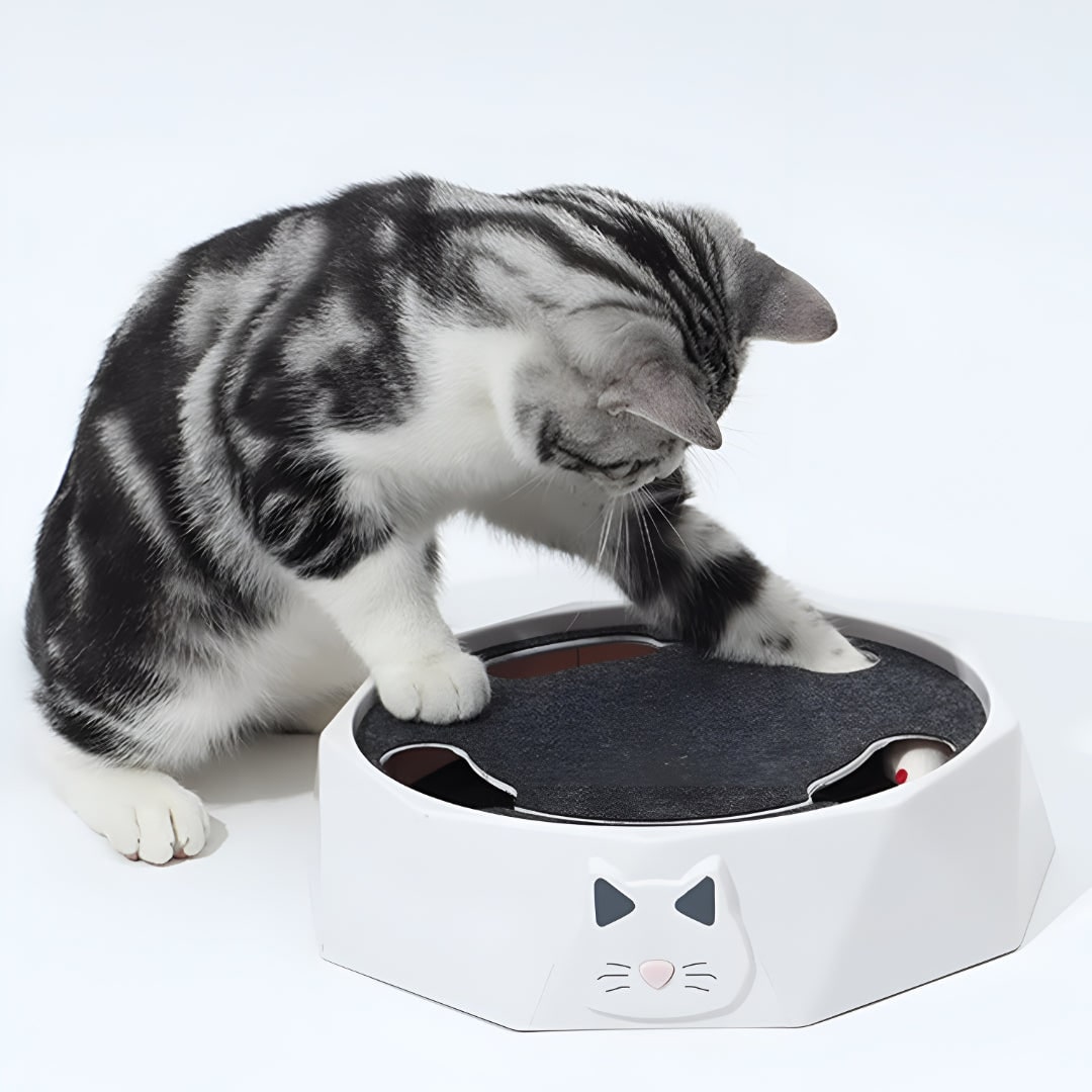 Dynamic Cat Play Station with Moving Mouse and Scratching Pad
