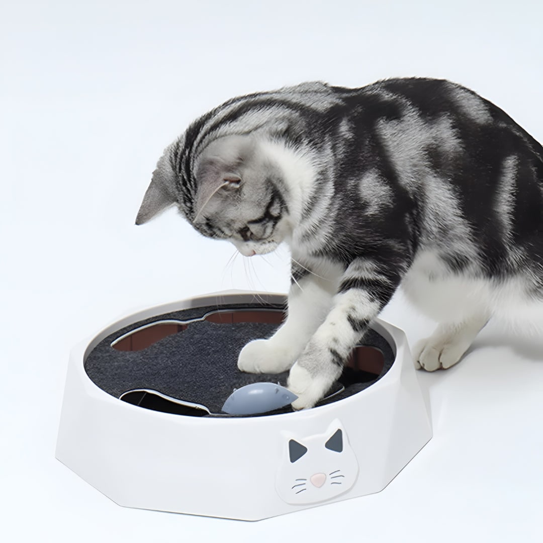 Dynamic Cat Play Station with Moving Mouse and Scratching Pad