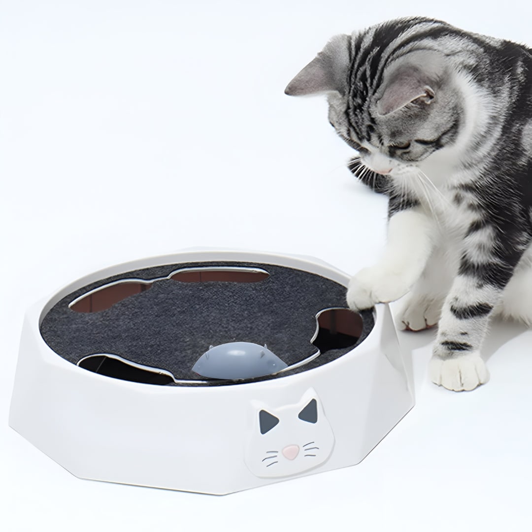 Dynamic Cat Play Station with Moving Mouse and Scratching Pad