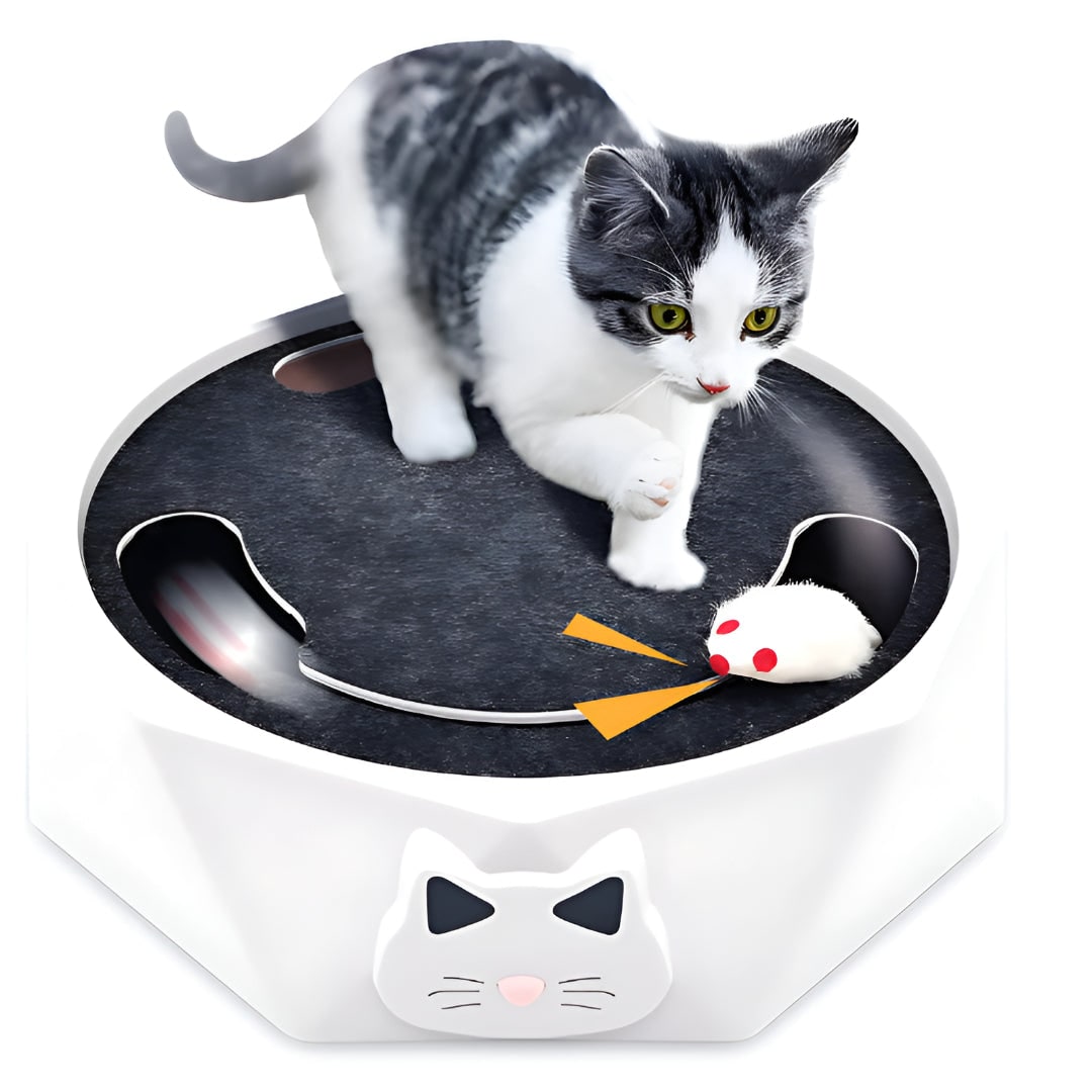 Dynamic Cat Play Station with Moving Mouse and Scratching Pad