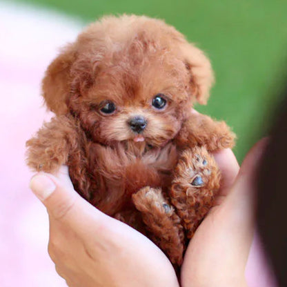 Interactive Puppy Toy with Realistic Movements
