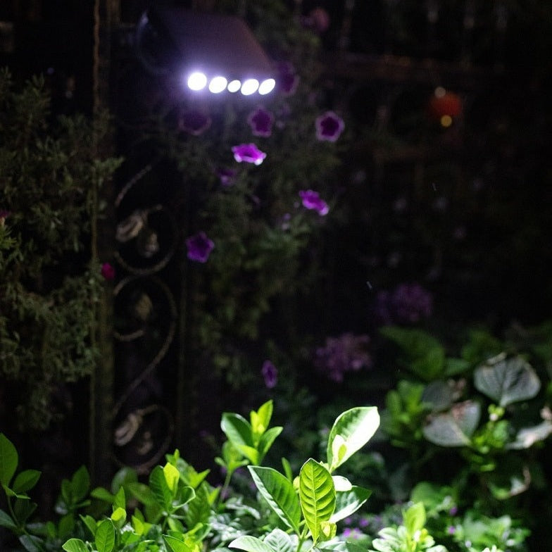 Nighttime Security with Solar Power - No Electricity Costs