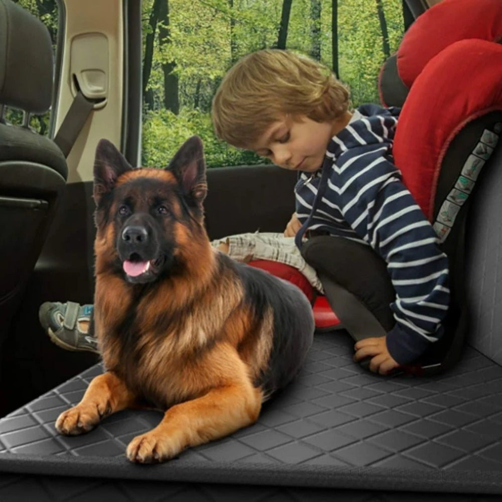 Comfortable Dog Car Seat Cover for Protection