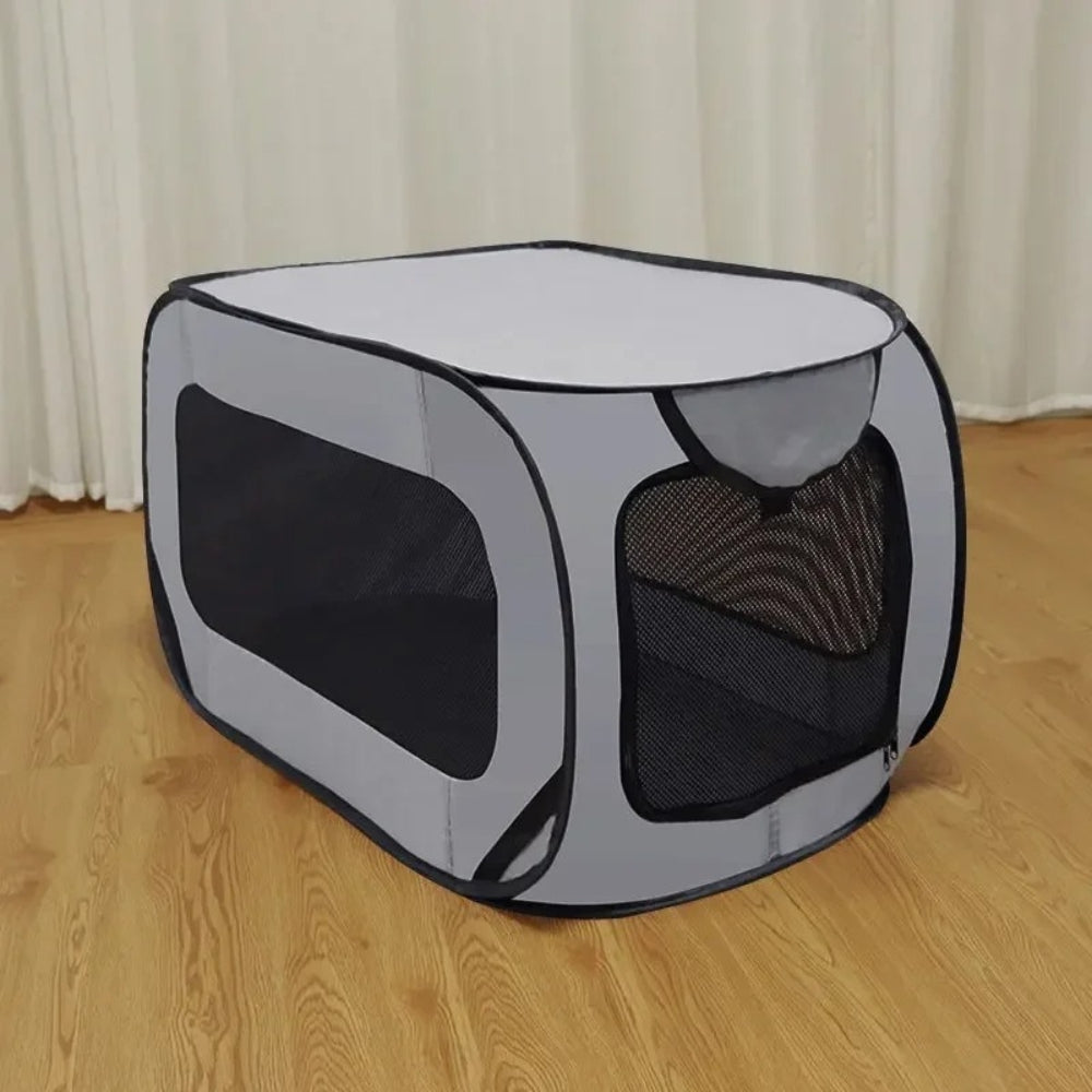 Durable Dog Travel Carrier for Safe Car Transport