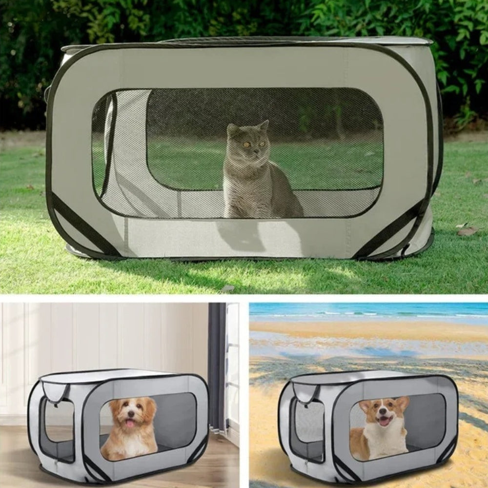 Durable Dog Travel Carrier for Safe Car Transport