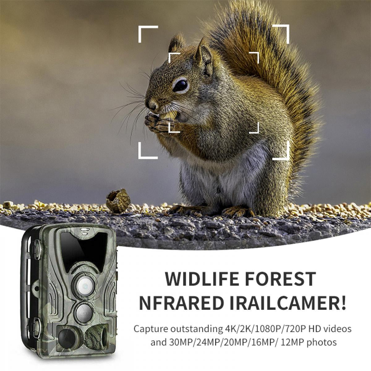 4K Wildlife Photography Trail Camera with Cellular Connectivity