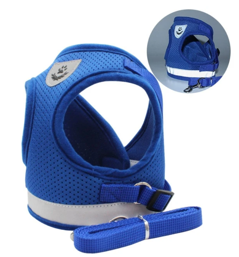Explorer Harness - Safe Outdoor Gear for Cats