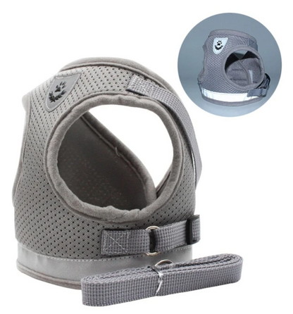 Explorer Harness - Safe Outdoor Gear for Cats
