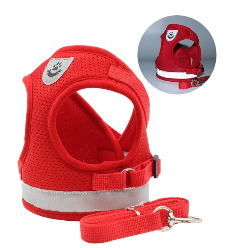 Explorer Harness - Safe Outdoor Gear for Cats