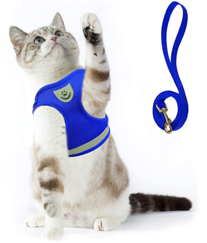 Explorer Harness - Safe Outdoor Gear for Cats