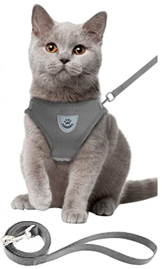 Explorer Harness - Safe Outdoor Gear for Cats