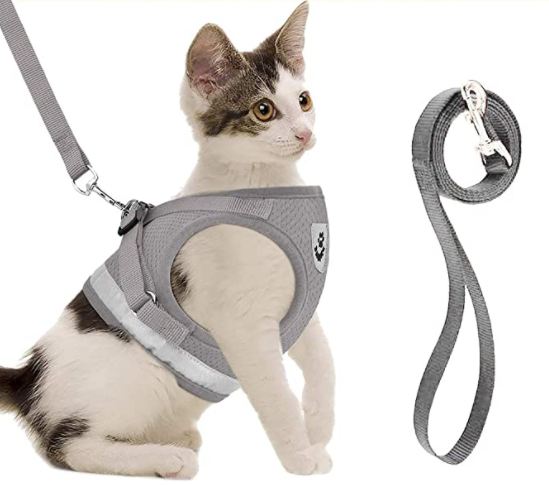 Explorer Harness - Safe Outdoor Gear for Cats