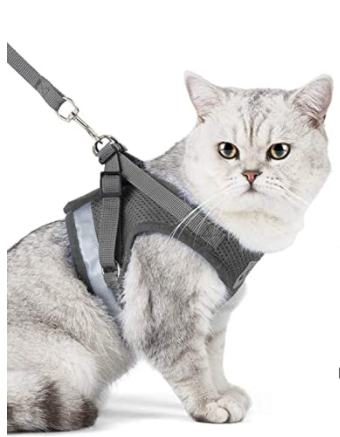 Explorer Harness - Safe Outdoor Gear for Cats