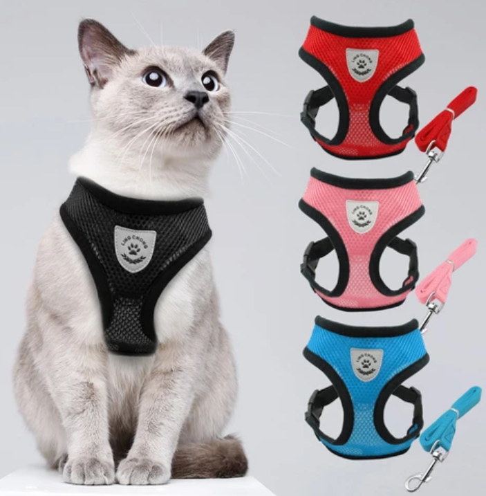 Explorer Harness - Safe Outdoor Gear for Cats