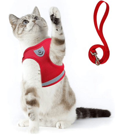 Escape-Proof Cat Harness with Leash and Reflective Features for Adventure