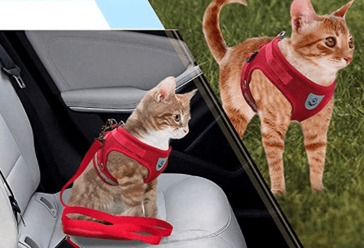 Escape-Proof Cat Harness with Leash and Reflective Features for Adventure