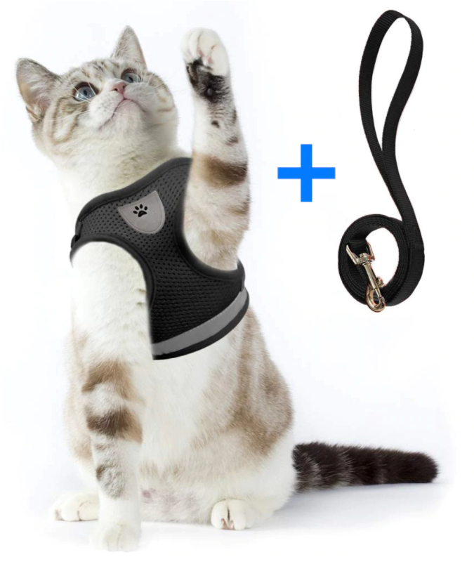 Explorer Harness - Safe Outdoor Gear for Cats