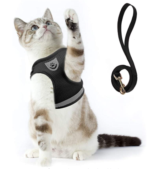 Explorer Harness - Safe Outdoor Gear for Cats