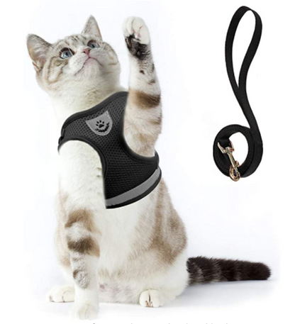 Explorer Harness - Safe Outdoor Gear for Cats