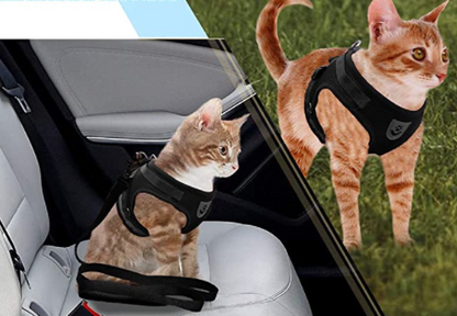 Explorer Harness - Safe Outdoor Gear for Cats