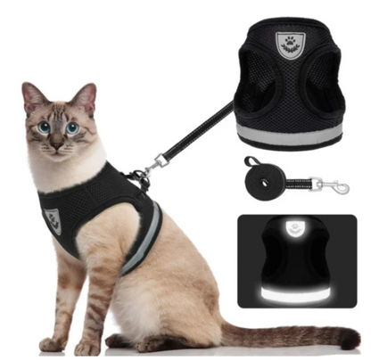Explorer Harness - Safe Outdoor Gear for Cats