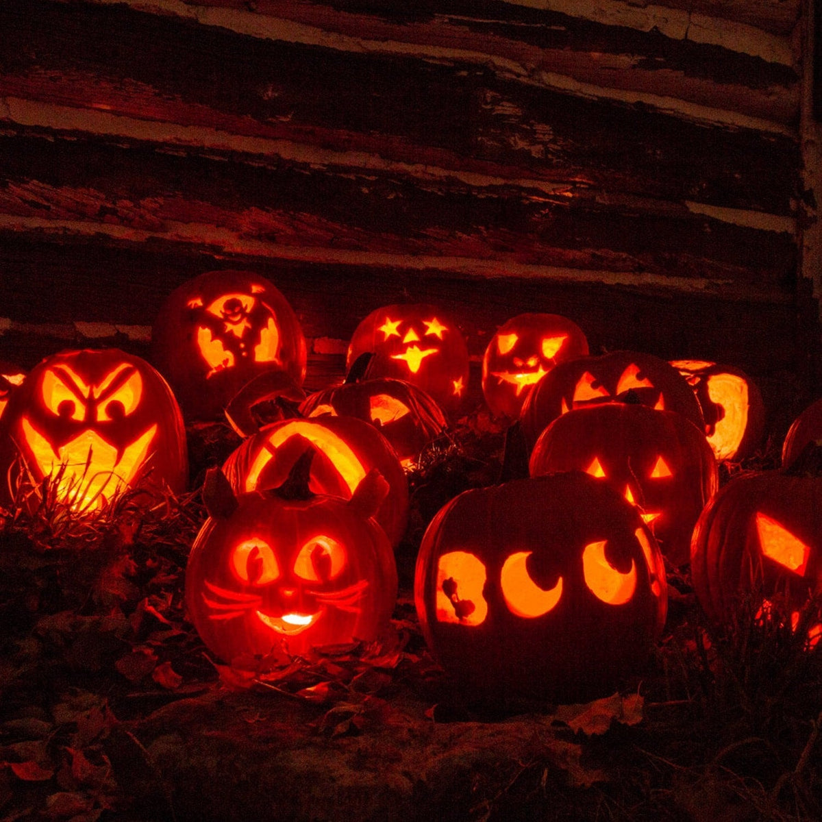 Ultimate Pumpkin Carving Set for Halloween Fun