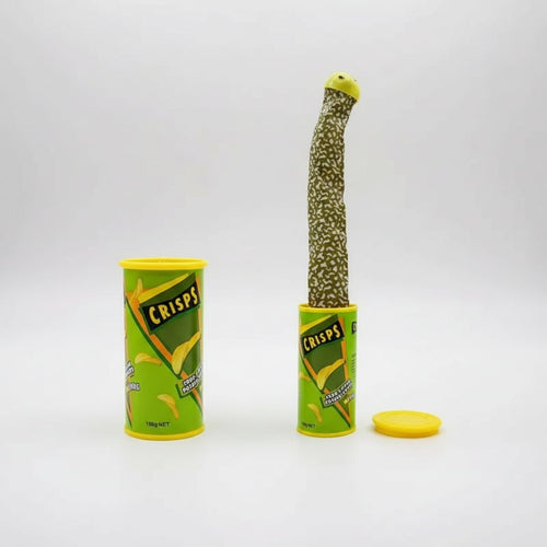 Surprise Snake in a Can: Hilarious Jumping Prank for All Ages