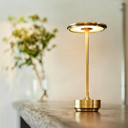 LED Desk Lamp with Adjustable Brightness and Portability