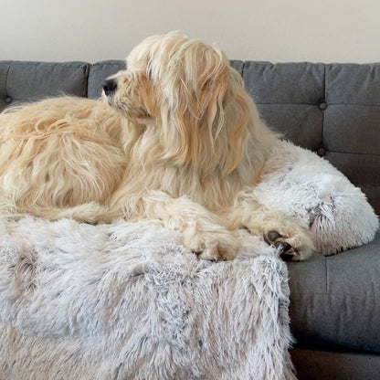 Washable, Warm, and Waterproof Autumn Cushion for Your Dog