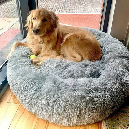 Dog Bed for Relaxation and Comfort