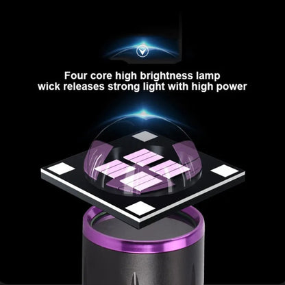 Bright Light Source