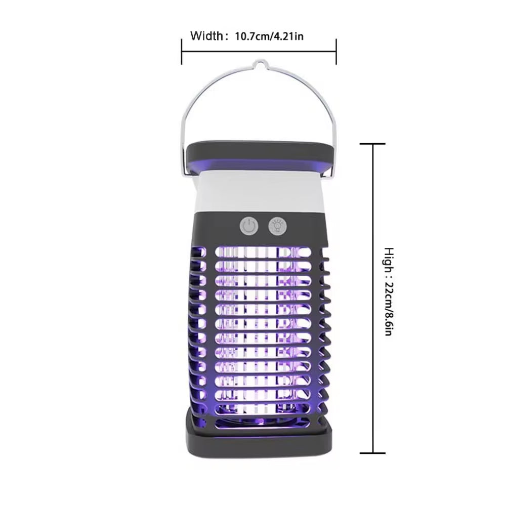 Stylish Women's Footwear Collection