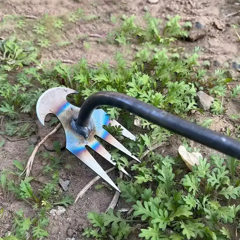 Weed Removal Tool - Your Essential Solution for Garden Weeds