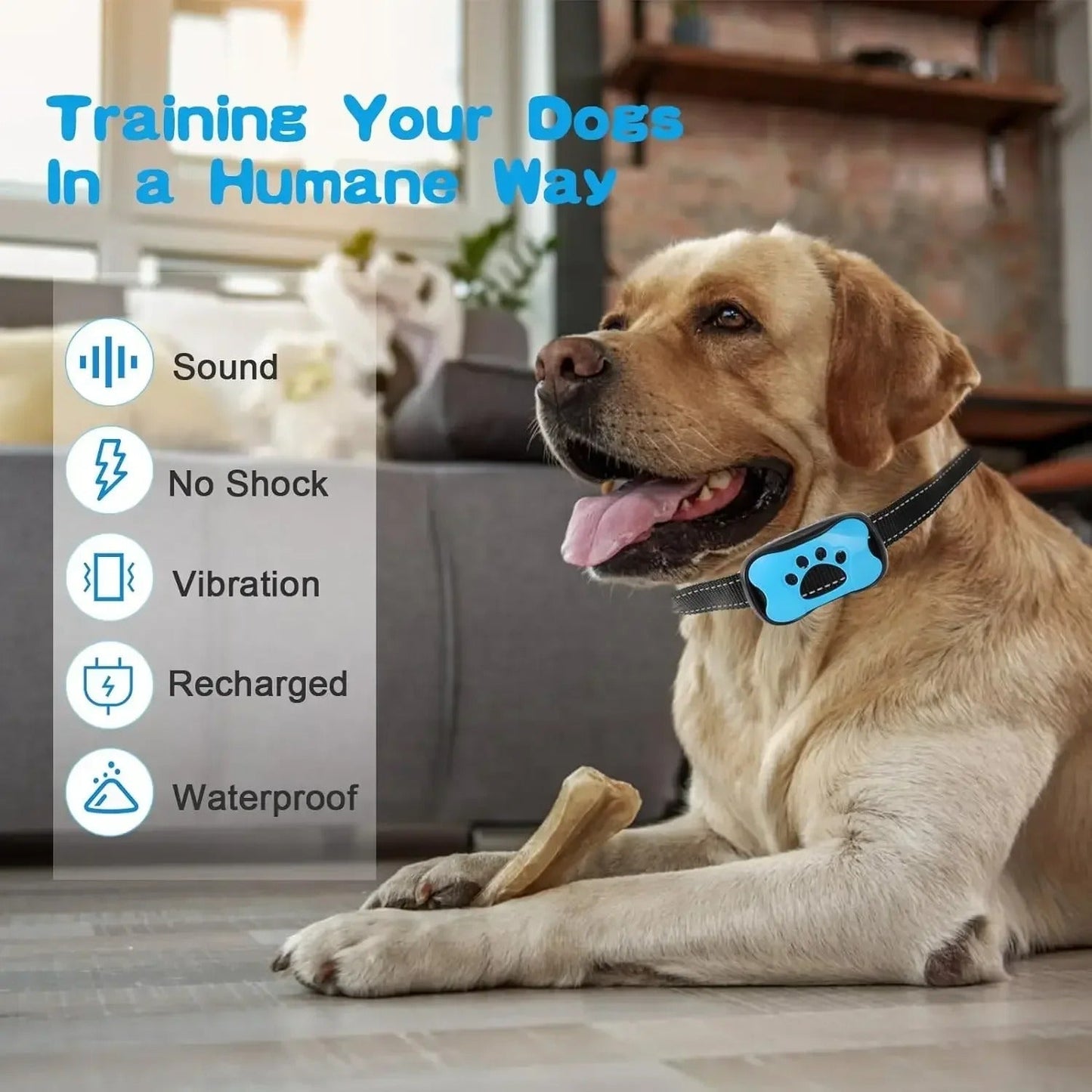 USB Rechargeable Bark Control Device
