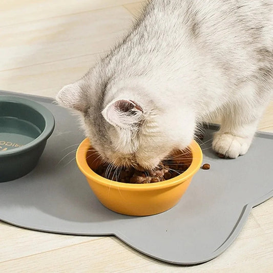 Pet Mat for Water Protection