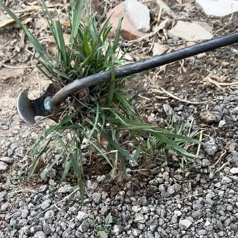 Weed Removal Tool - Your Essential Solution for Garden Weeds