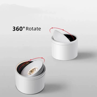 Rotating Surface-Mounted Ceiling Spotlight with Directional Beam