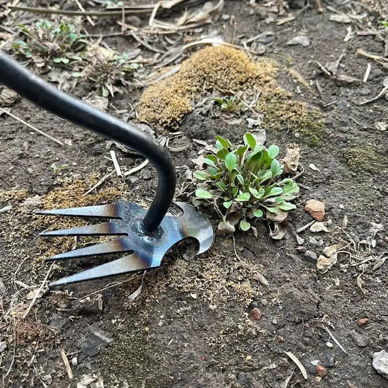 Weed Removal Tool - Your Essential Solution for Garden Weeds
